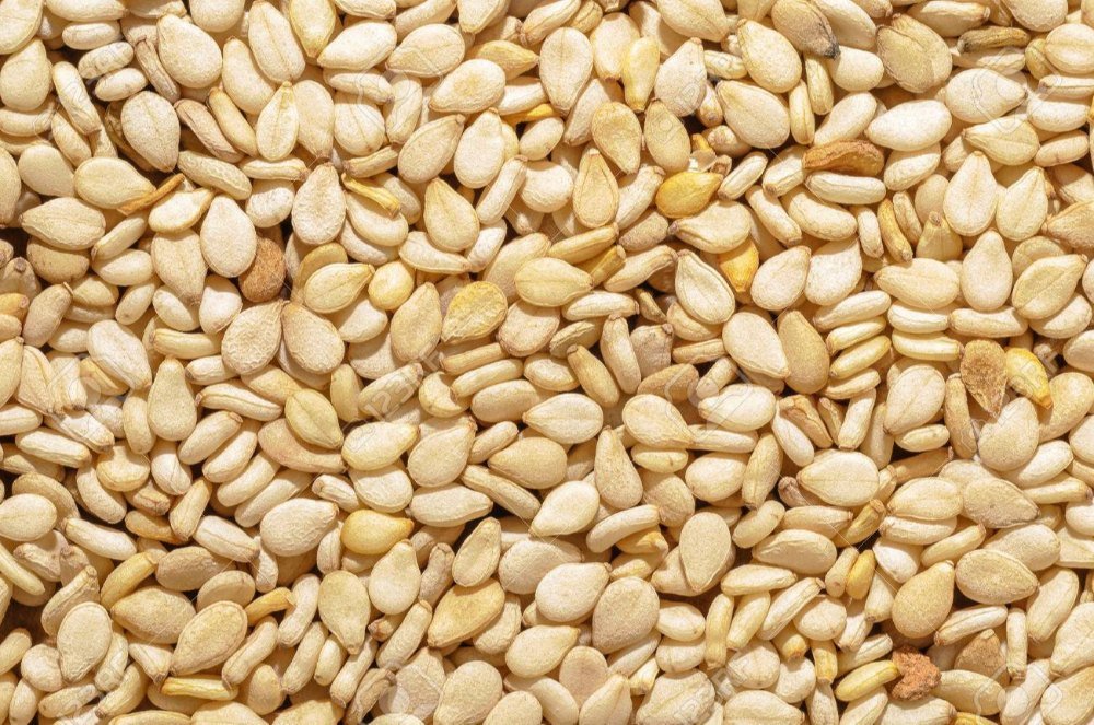 Natural sesame seeds before cold pressing