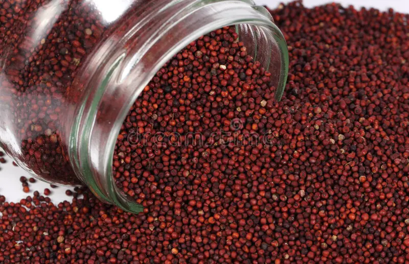 Whole ragi / finger millet grains