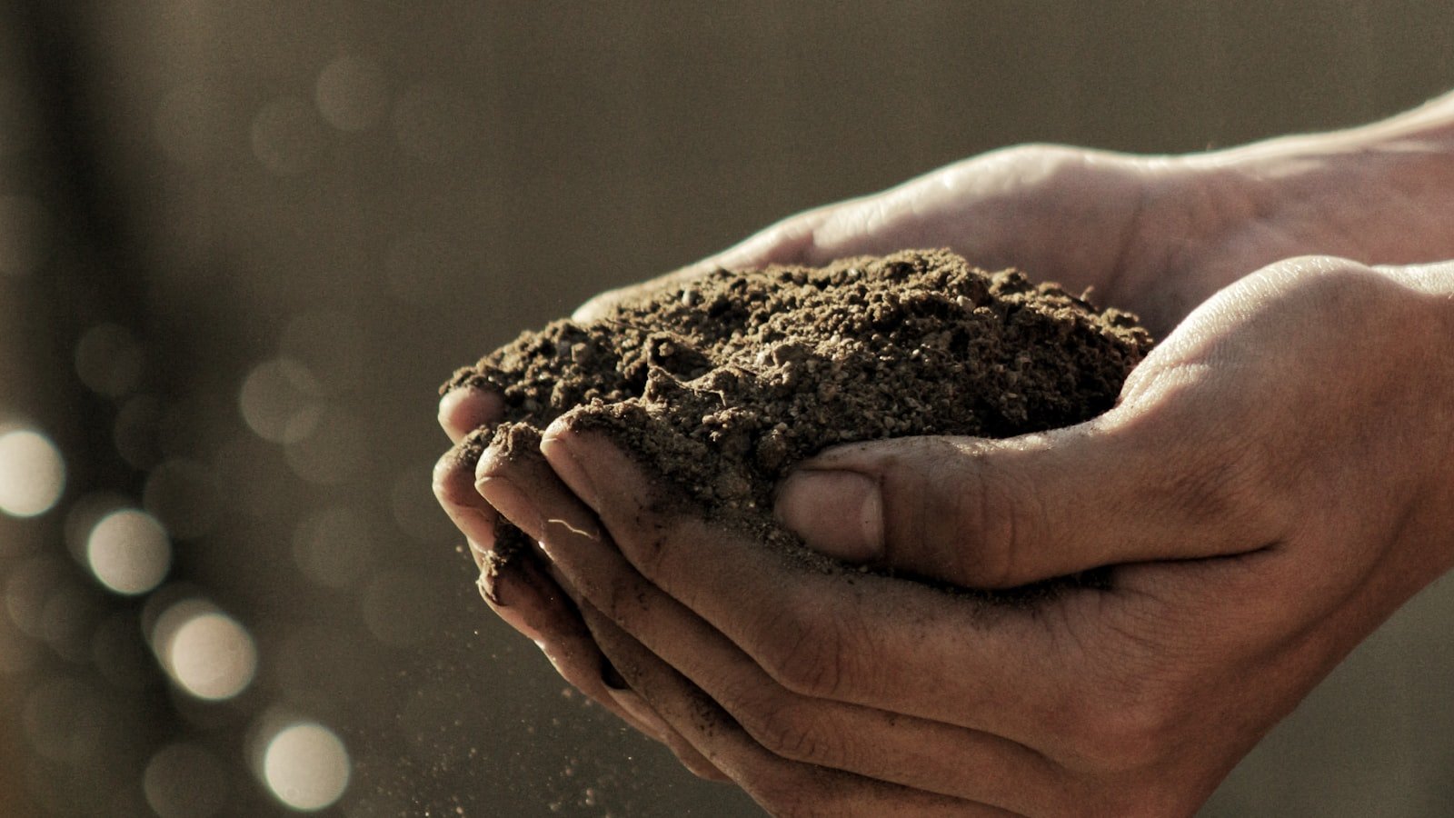 Hands holding dark, compost-rich farm soil
